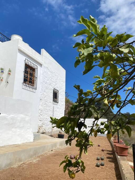 Villa Casa Aya à Teror Extérieur photo
